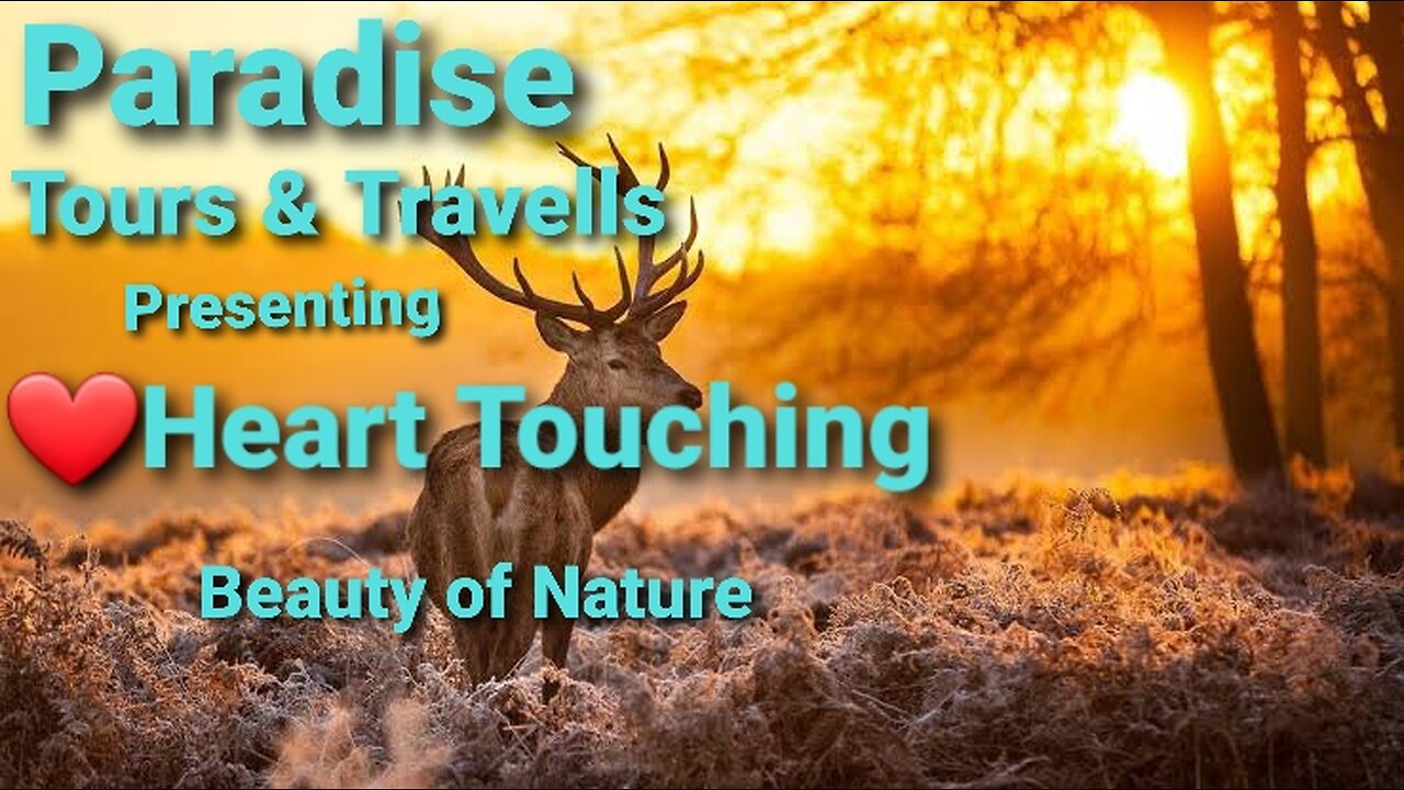 Heart Touching Beauty & Wonders of Nature