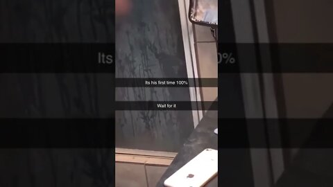 Don't trying to laugh 🤣😂(1)