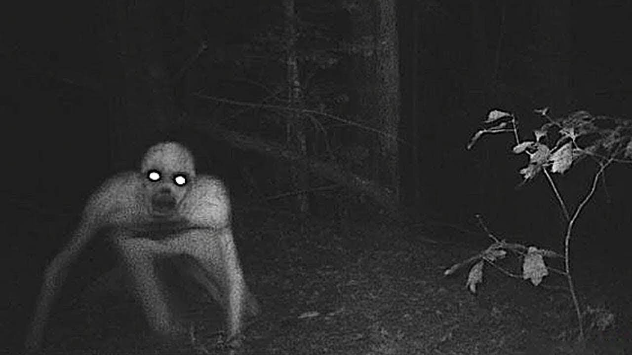 This Ranger Can't Explain What His Trail Camera Just Captured Deep Within These Woods