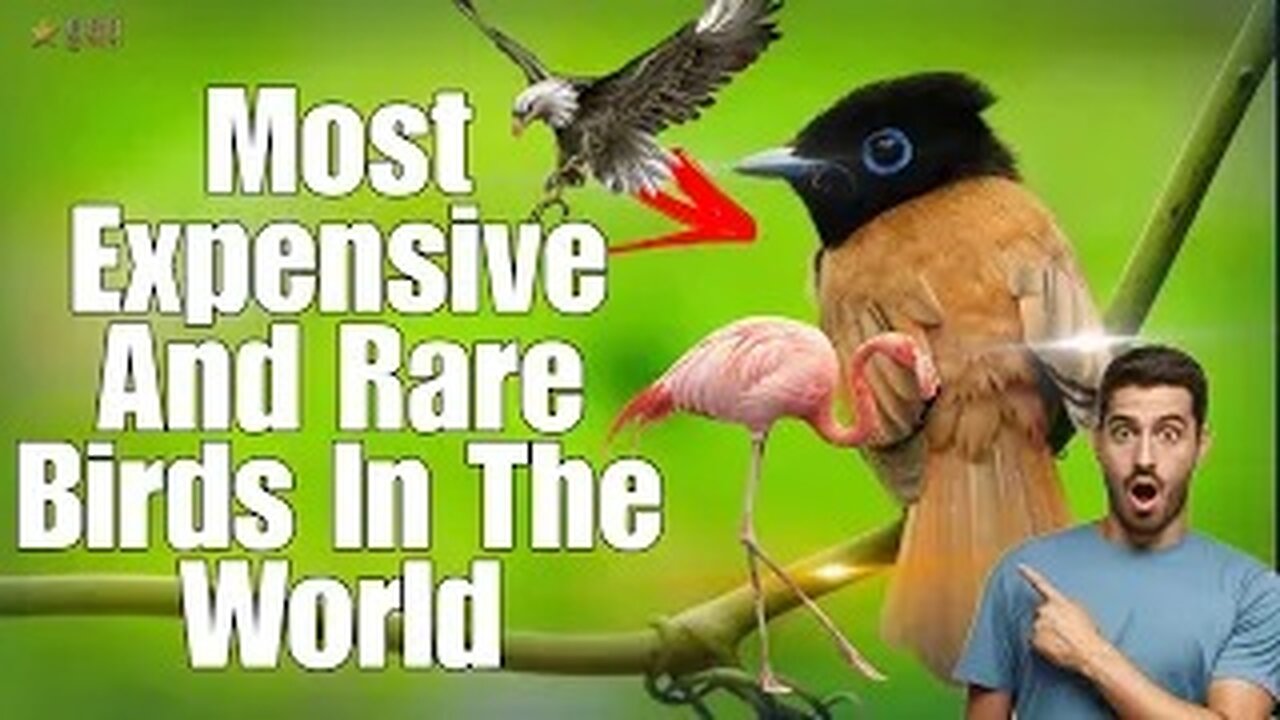 Most Expensive and Rare Birds in the World | FactsTube