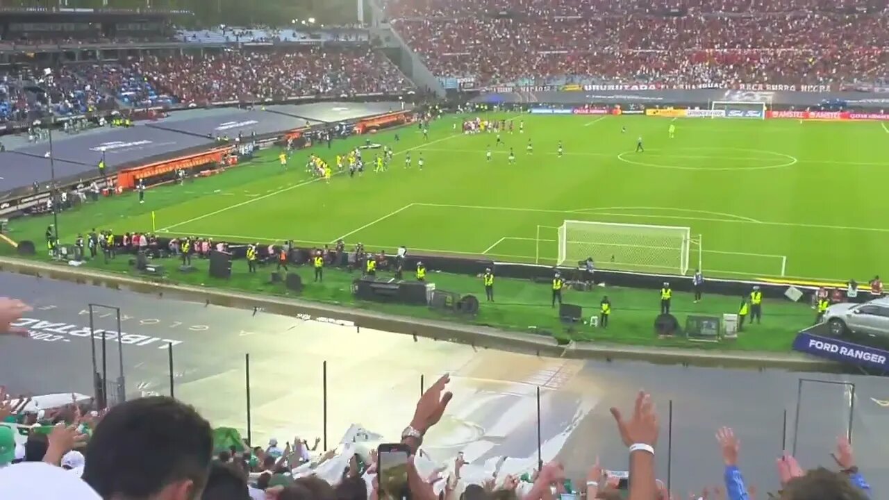 FLAMENGO E PALMEIRAS AO VIVO