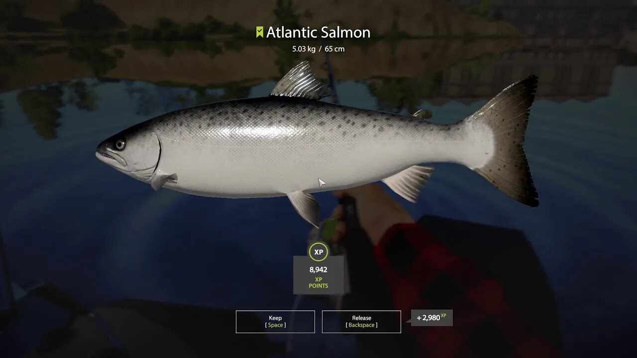 Russian Fishing 4 Volkhov River Atlantic Salmon 5 . 03 Kg