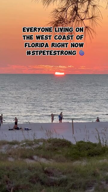 Everybody Stay Calm (Funny)