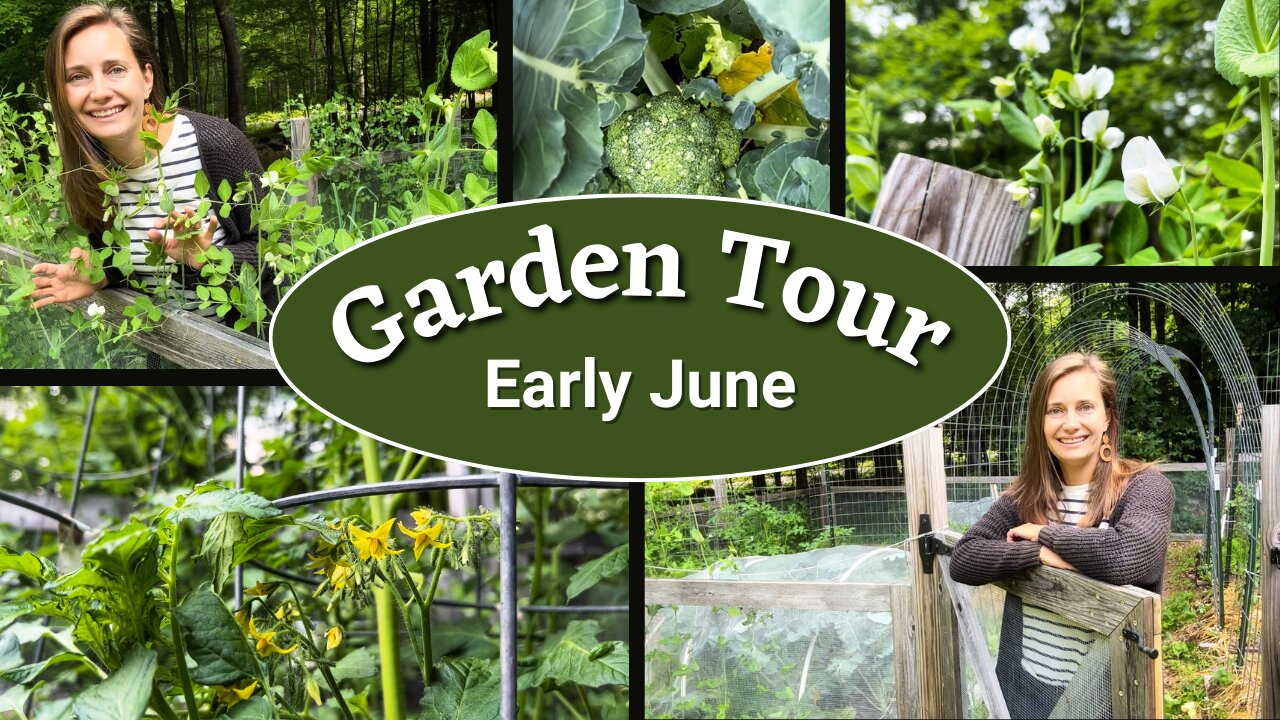 Full Vegetable Garden Tour | 2023 Tour #5 | Early June