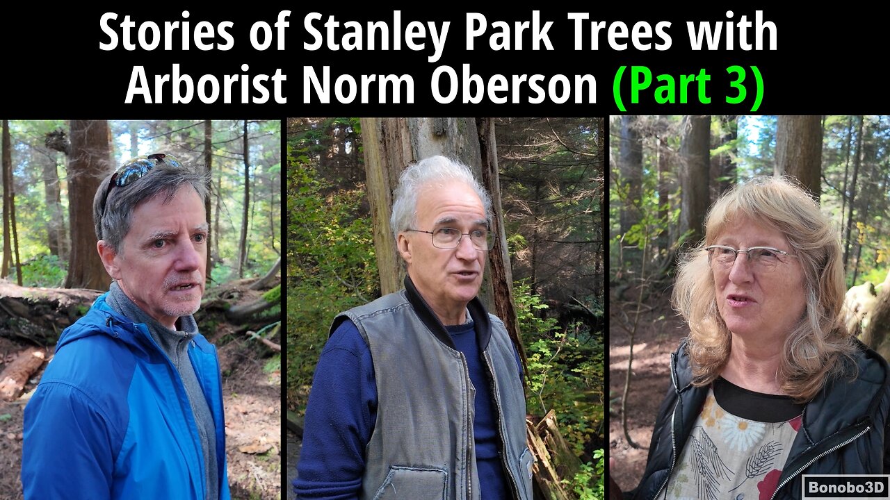 Stories of Stanley Park Trees with Arborist Norm Oberson (Part 3)