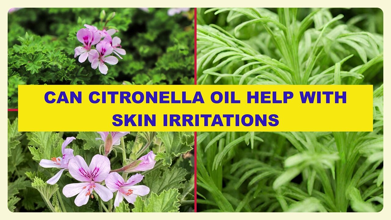 Say Goodbye to Skin Irritations: Explore the Calming Benefits of Citronella Oil