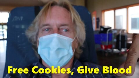 Get Free Cookies by Giving Blood With American Red Cross