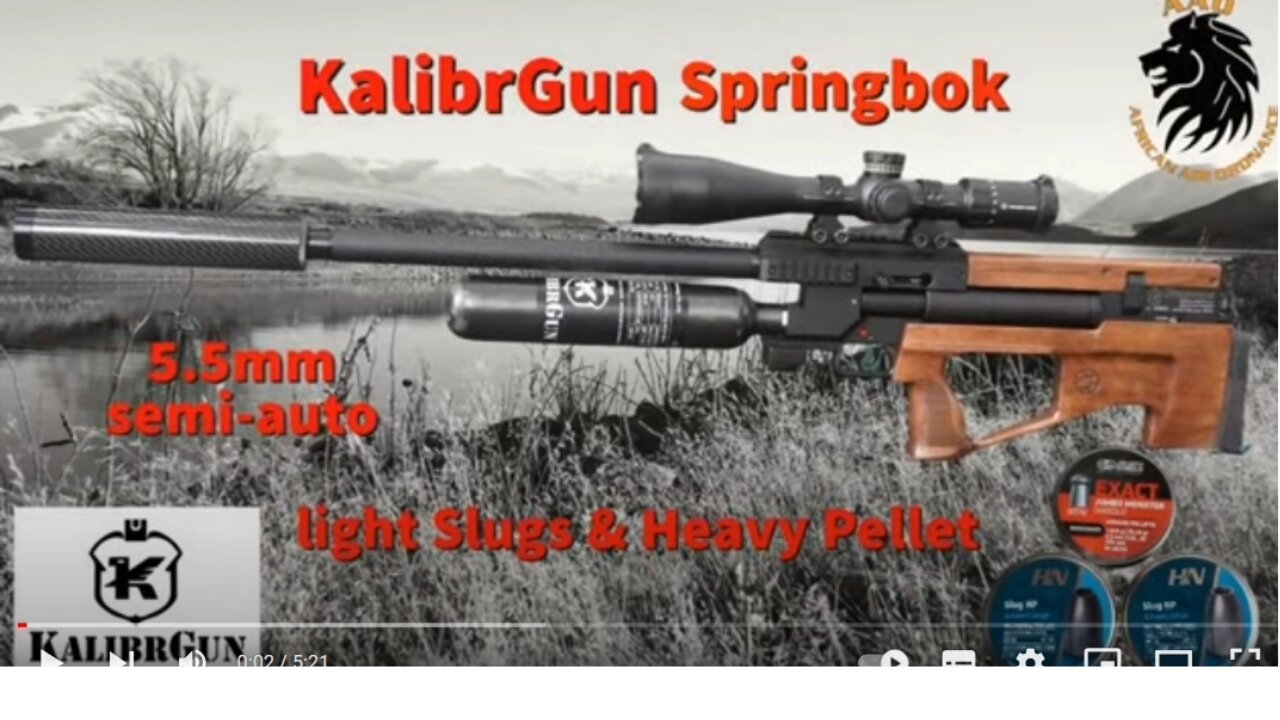 Kalibrgun Springbok 5.5mm testing light slugs heavy pellets