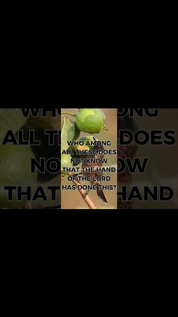 🌈👇 GOD'S MESSAGE FOR YOU TODAY!Nature's Wisdom👇