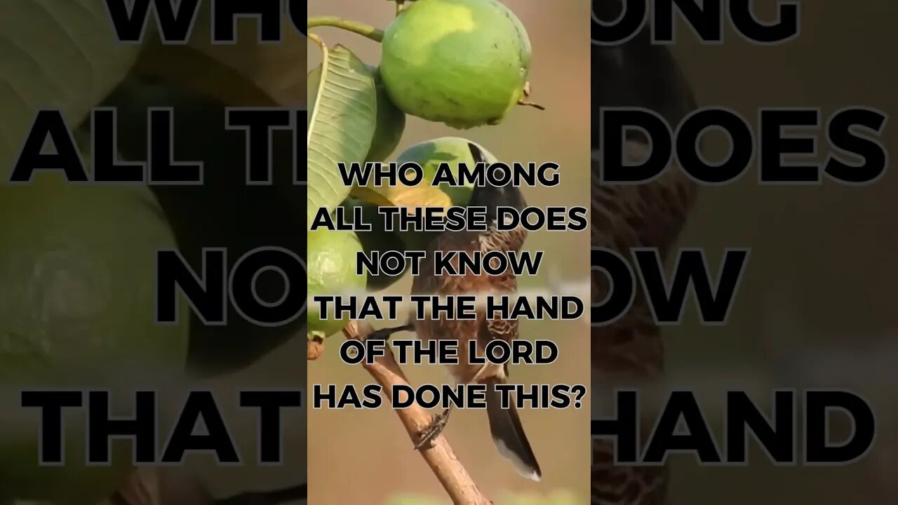 ๐๐ GOD'S MESSAGE FOR YOU TODAY!Nature's Wisdom๐