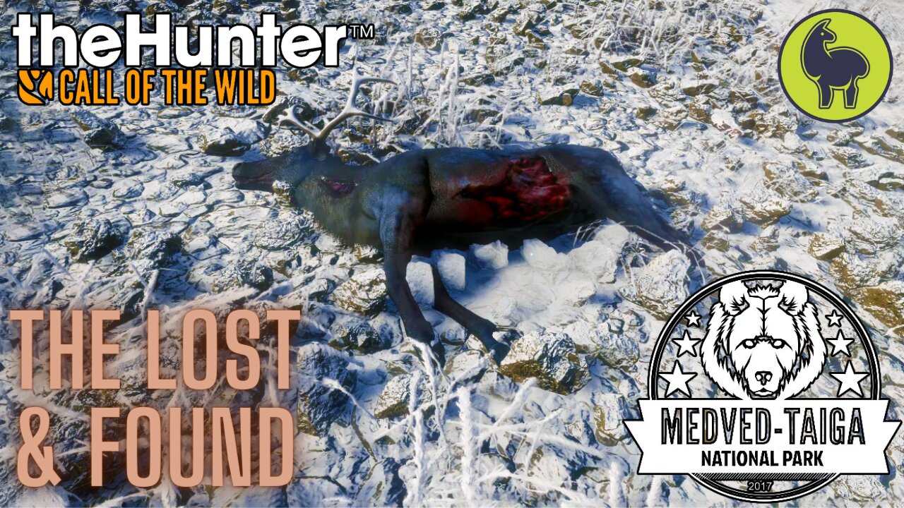 The Lost and Found, Medved Taiga | theHunter: Call of the Wild (PS5 4K)