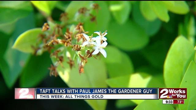 In The Garden with Paul James