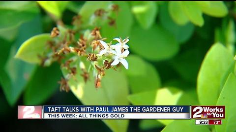 In The Garden with Paul James