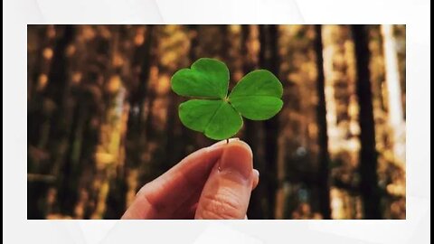 shamrock: me oh my