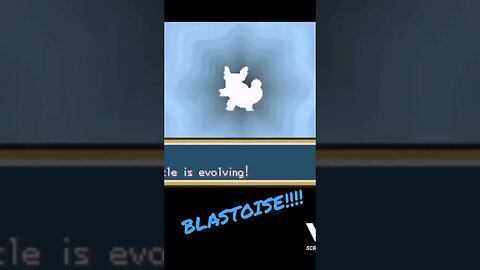 #gaming #game #gba #pokemon #blastoise