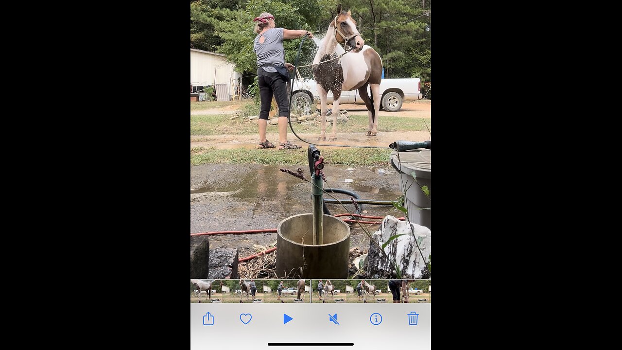 Refreshing shower after a hot trail ride🐎🤠