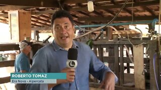 Vacina contra aftosa: produtores tem até o dia 31 de maio para imunizar o rebanho em Minas Gerais
