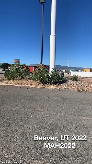 I pledge allegiance to the flag of the United States of America 🇺🇸