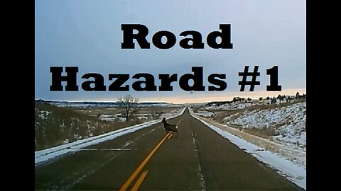 Dash Cam: Road Hazards - Critters & Crashes - THE RIGHT VIDEO THIS TIME