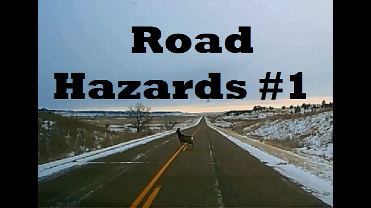 Dash Cam: Road Hazards - Critters & Crashes - THE RIGHT VIDEO THIS TIME