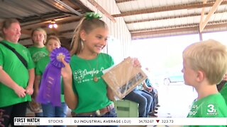 Sarpy County Fair returns