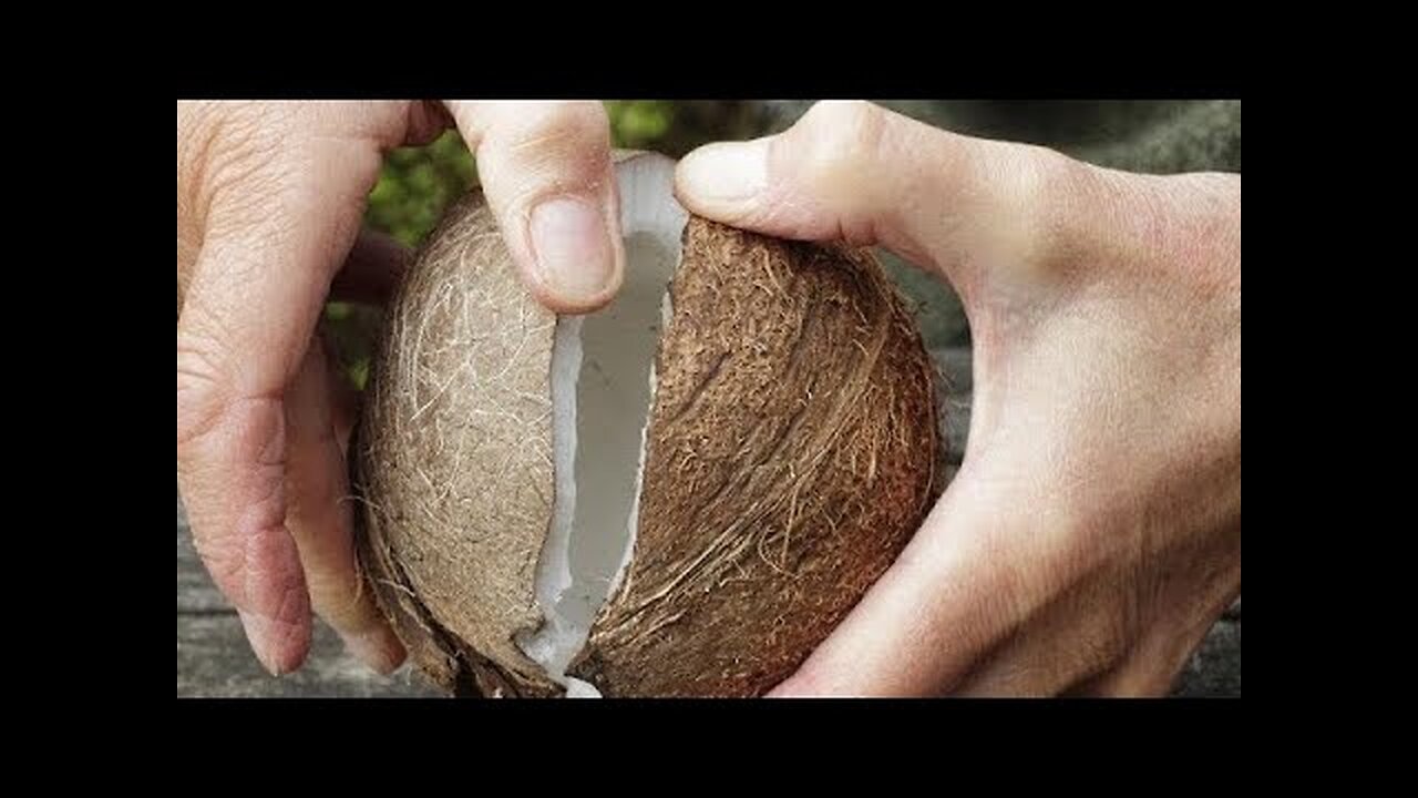 The BEST Way To Open & Eat Coconuts Without Any Tools (