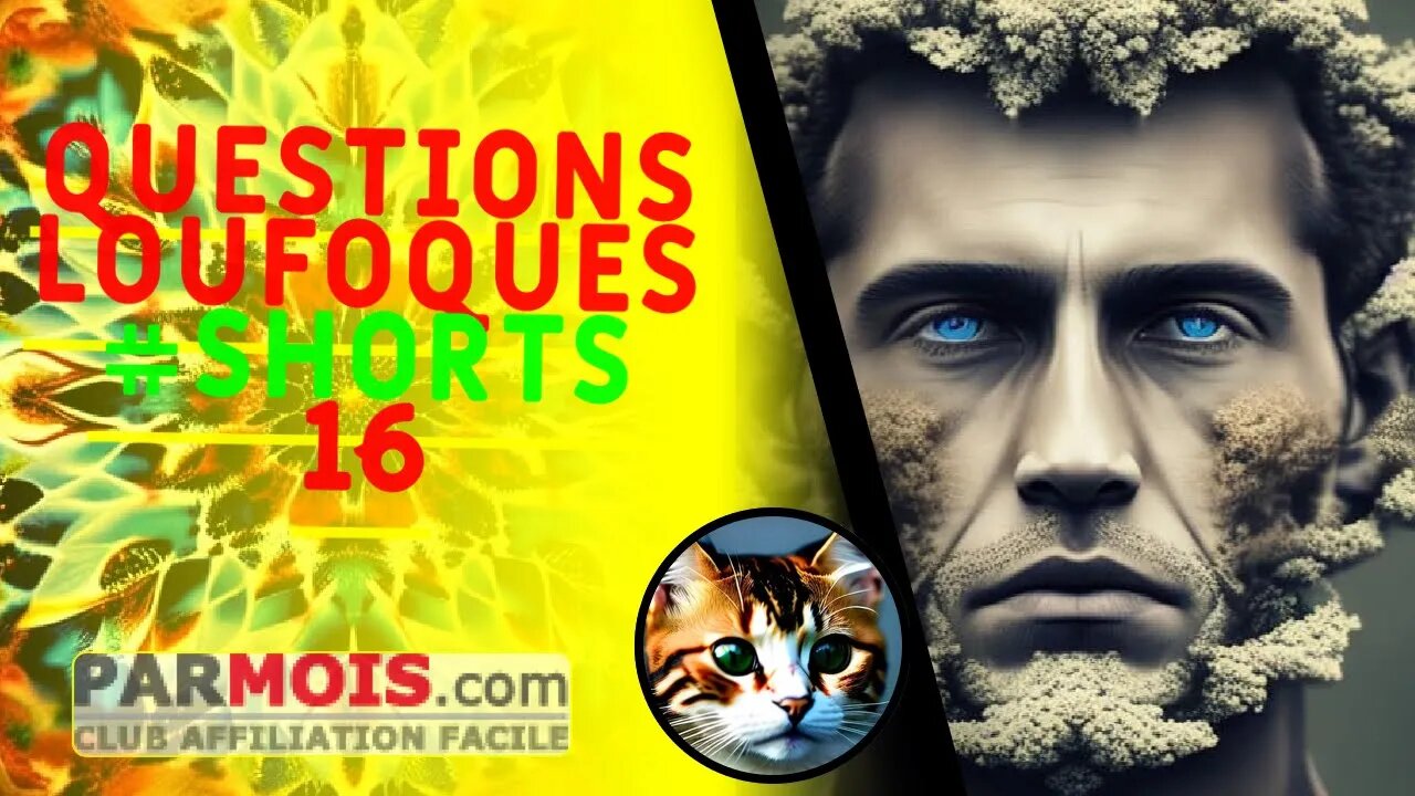 Questions Loufoques #shorts 16