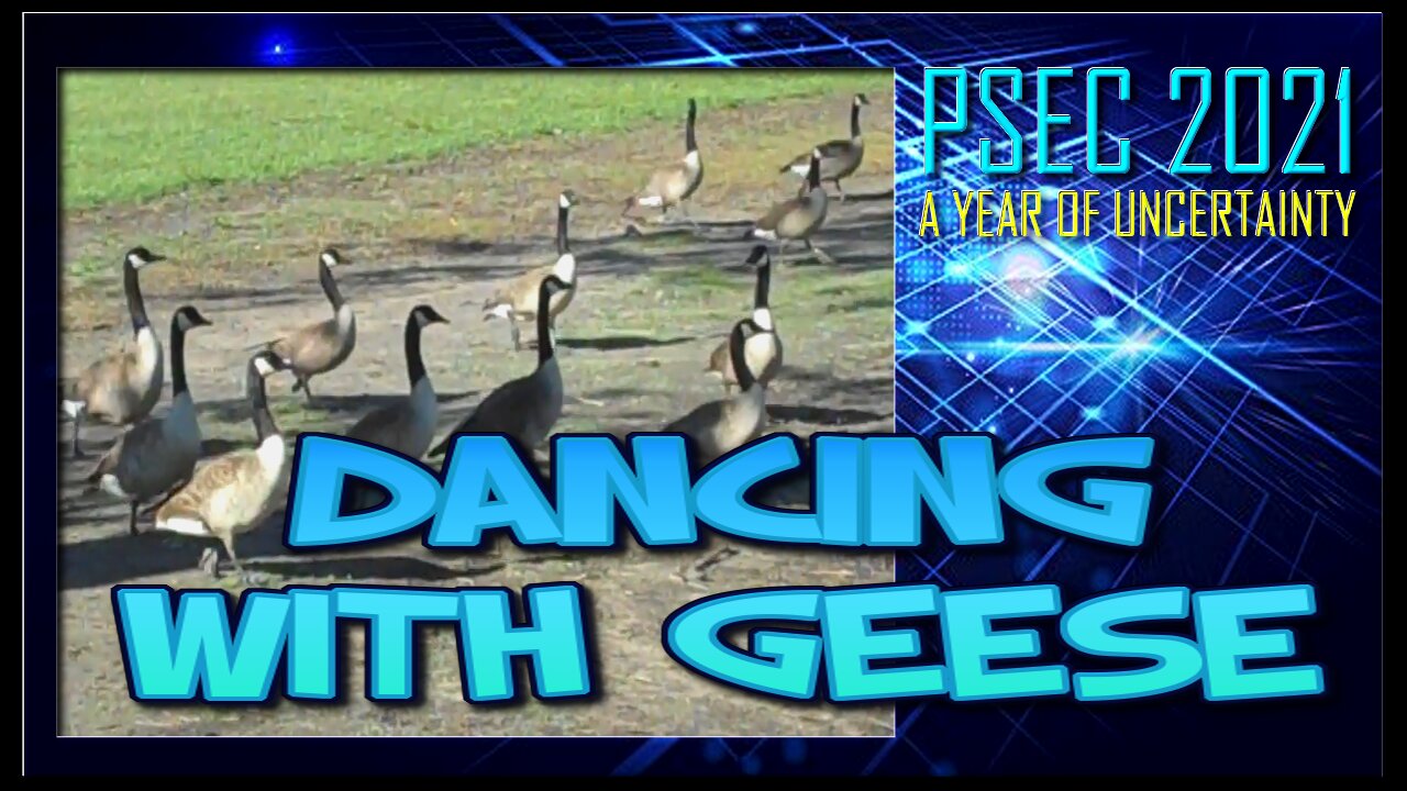 PSEC - 2021 - Kekistani Geographic - Dancing With Geese | 432hz [hd 720p]