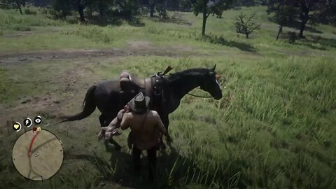 Red Dead Redemption 2 part 6