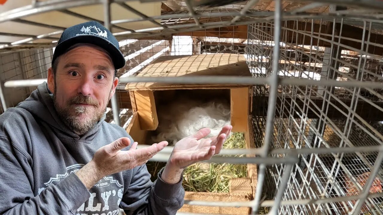 First Birth on the Homestead in 2023!