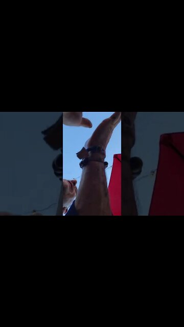 SOMETHING ABOUT SIXTY TEA(2)