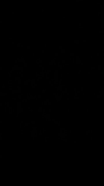 Rumble Check payment