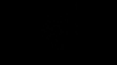 Rumble Check payment