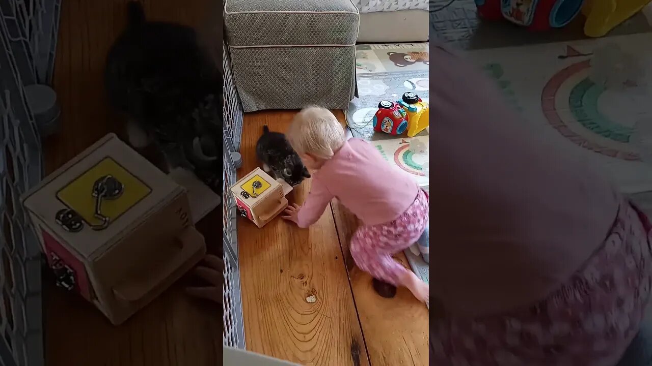 Zophia's First Steps!!