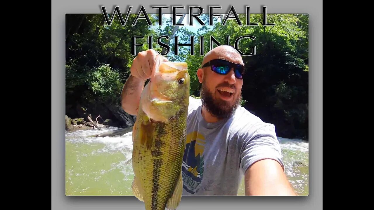 Monster fish in a waterfall pool (Ohio's best kept secret)