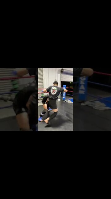 MMA Double Jab to Straight Right Snatch Single to Back take . Finish with a school boy