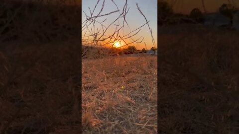 Sunset at the windy Montgomery Hills Park on a dry and hot summer evening. #shorts