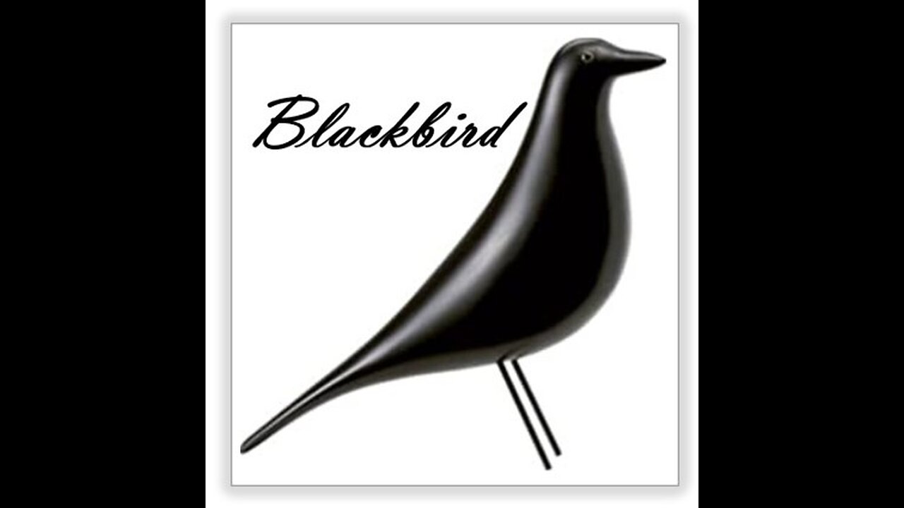 "Blackbird" ~ Cover