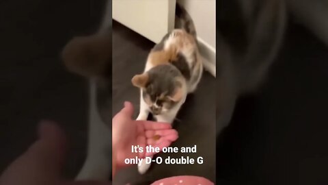 MEME is the one and only D-O double G #shorts