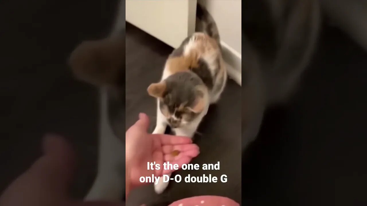 MEME is the one and only D-O double G #shorts