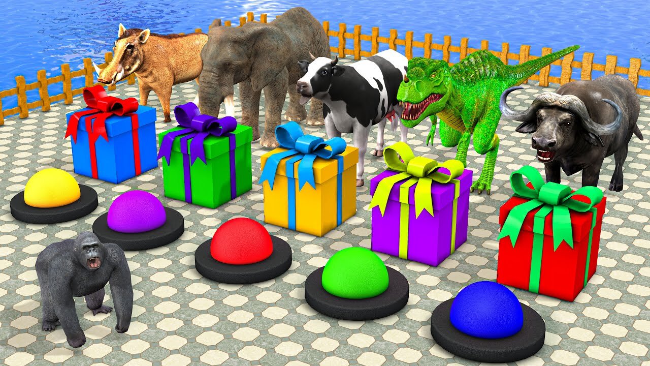 Choose The Right Gift Box Run Game With Elephant Cow Gorilla Buffalo Pig Trex Wild Animals Games