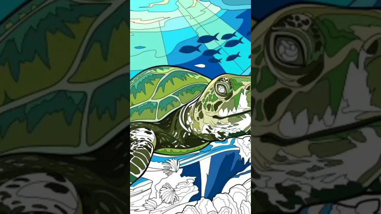 Here is a turtle