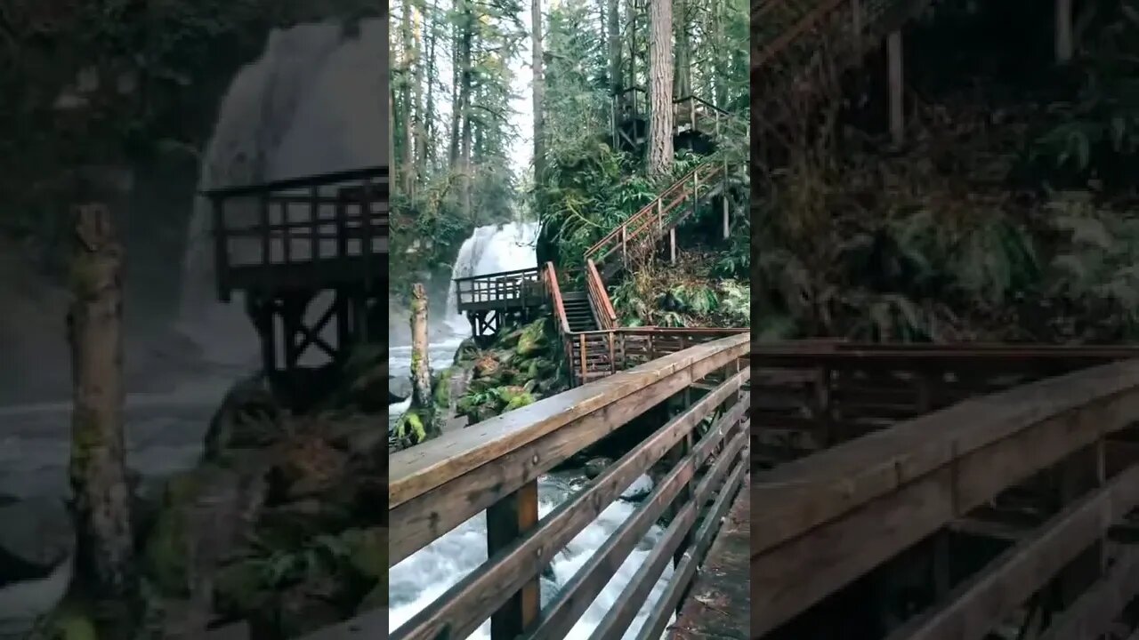 Beautiful Nature Tiktok shelovesthepnw