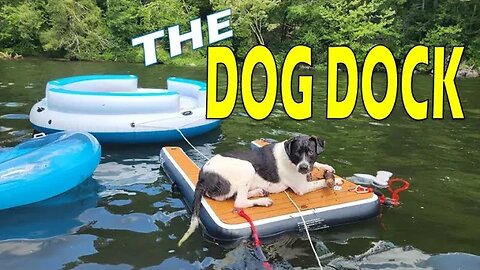 DOG DOK Review - Best Dog Dock Ever!