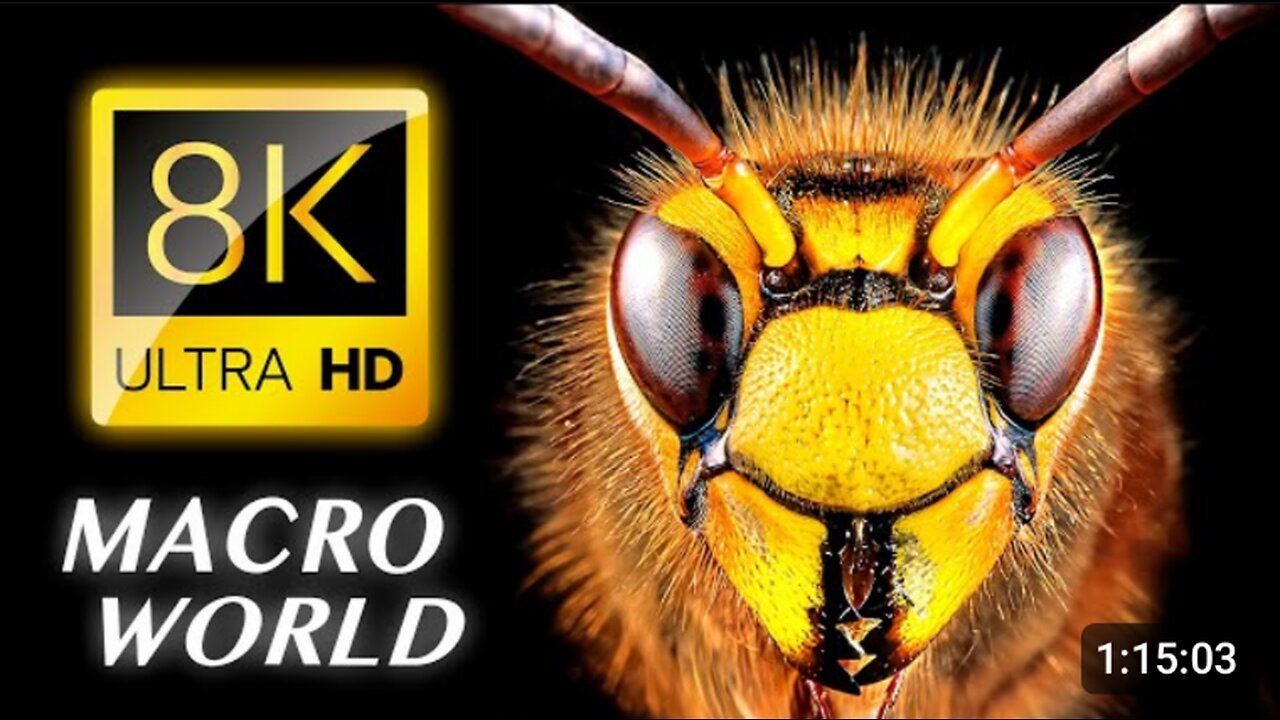 Objects Video Macro 8K Video Ultra HD