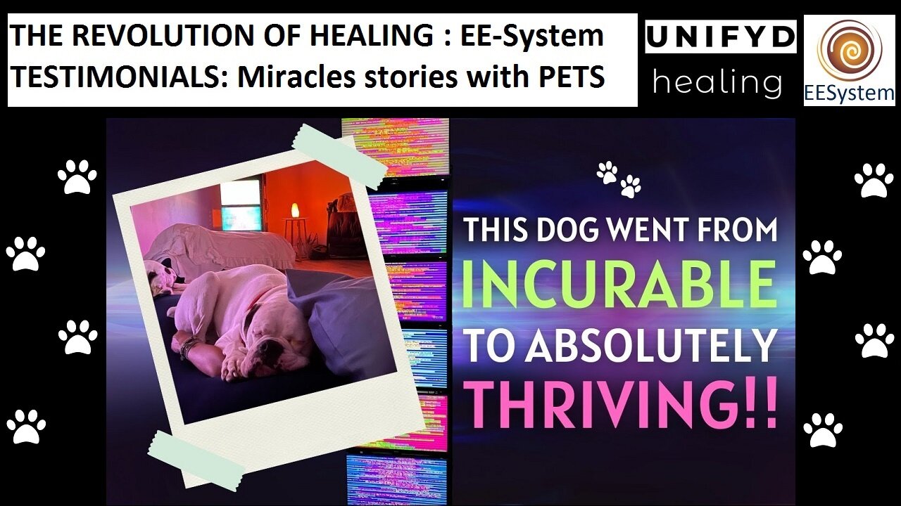 UNIFYD HEALING EESystem-TESTIMONIAL: Miracles stories with PETS