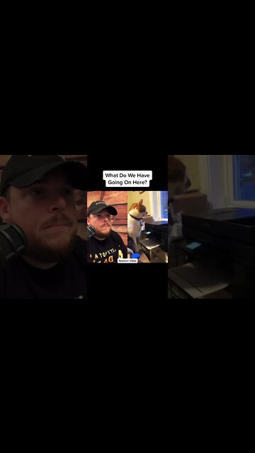 Here’s Your Dose Of REALarious…🤣🤣🤣