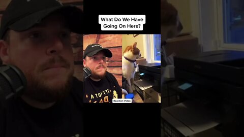 Here’s Your Dose Of REALarious…🤣🤣🤣