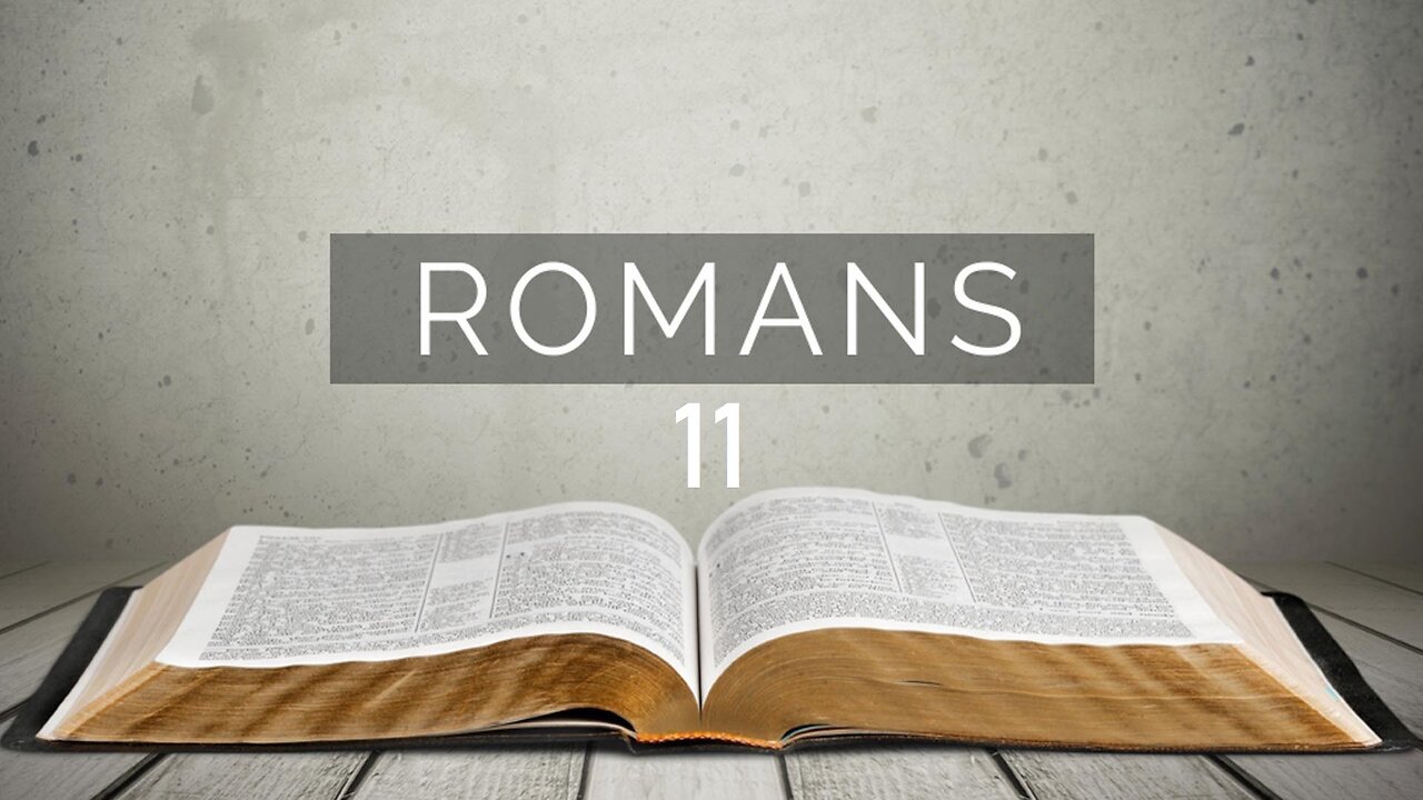 Romans - Chapter 11