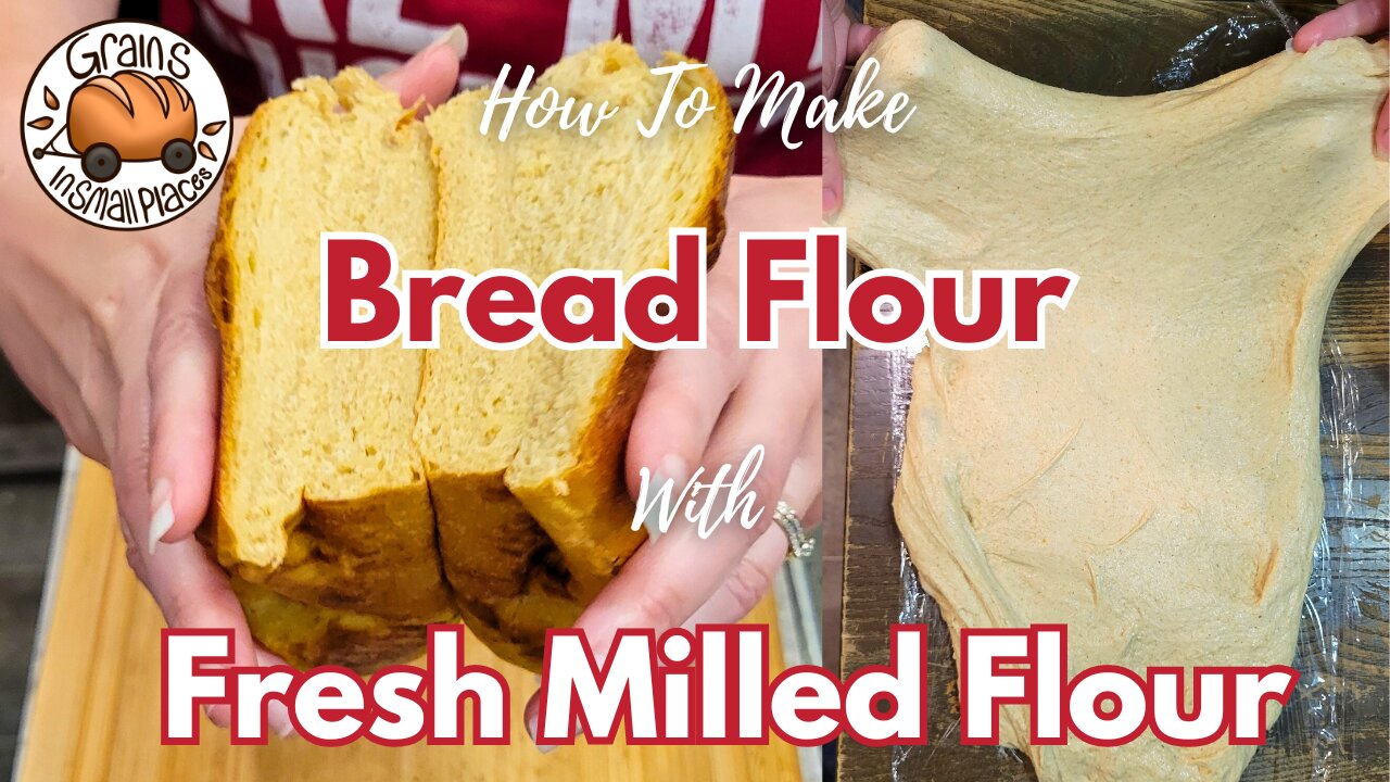 My Favorite Bread Flour Blend With Fresh Milled Flour